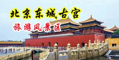 插进去的黄片中国北京-东城古宫旅游风景区